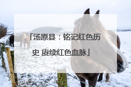 汤原县：铭记红色历史 赓续红色血脉